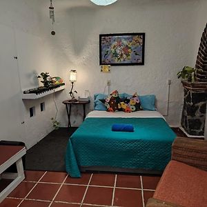Habitación Doble Estándar